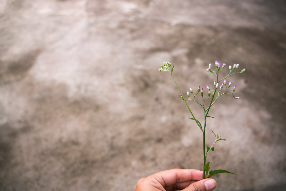 Slow life: cos'è e quali sono i benefici?